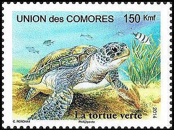 Timbre Comores Y&T 2262